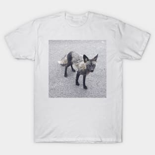 Silver Fox T-Shirt